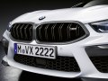 2019 BMW M8 Coupe (F92) - Fotoğraf 3