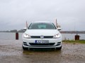 2013 Volkswagen Golf VII Variant - Fotoğraf 3