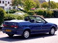 1992 Renault 19 Cabriolet (D53) (facelift 1992) - Fotoğraf 2