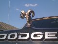 1990 Dodge Ram 150 Conventional Cab (D/W, facelift 1990) - Fotoğraf 2