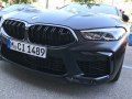 2019 BMW M8 Coupe (F92) - Fotoğraf 9