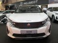 2021 Peugeot 3008 II (Phase II, 2020) - Foto 25