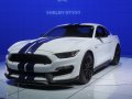 2016 Ford Shelby III - Tekniska data, Bränsleförbrukning, Mått