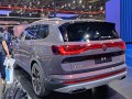 2021 Volkswagen Talagon - Fotoğraf 3