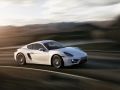 2013 Porsche Cayman (981c) - Технически характеристики, Разход на гориво, Размери
