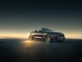 2017 Alpina D4 Cabrio (F33, facelift 2017) - Teknik özellikler, Yakıt tüketimi, Boyutlar