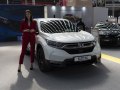 2019 Honda CR-V V (facelift 2019) - Снимка 51