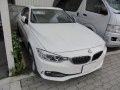 2013 BMW 4 Serisi Coupe (F32) - Fotoğraf 6