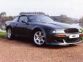 1993 Aston Martin V8 Vantage (II) - Fotoğraf 1