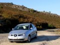 2002 Seat Ibiza III - Fotoğraf 4