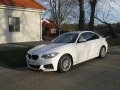 2014 BMW 2 Serisi Coupe (F22) - Fotoğraf 8