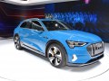 2019 Audi e-tron - Fotoğraf 24
