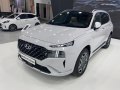 2021 Hyundai Santa Fe IV (TM, facelift 2020) - Снимка 26