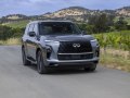 2025 Infiniti QX80 (Z63) - Снимка 5