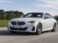 2022 BMW 2 Serisi Coupe (G42) - Fotoğraf 53