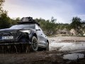 Audi Q8 e-tron edition Dakar 55 114 kWh (408 Hp) quattro