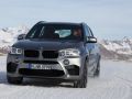 2015 BMW X5 M (F85) - Foto 15