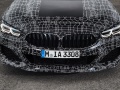 BMW Seria 8 (G15) - Fotografia 10