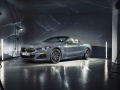 2019 BMW 8 Series Convertible (G14) - Photo 7