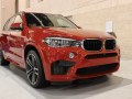 BMW X5 M (F85) - Photo 7