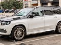 2020 Mercedes-Benz Maybach GLS (X167) - Photo 9