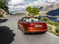 2017 BMW 4 Series Convertible (F33, facelift 2017) - Photo 11