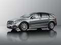 2010 Mercedes-Benz R-Klasse (W251, facelift 2010) - Bild 2