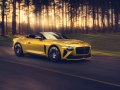 2021 Bentley Mulliner Bacalar - Technical Specs, Fuel consumption, Dimensions