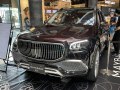 2020 Mercedes-Benz Maybach GLS (X167) - Photo 3