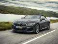 2019 BMW 8 Series Convertible (G14) - Photo 1