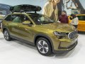 2024 Skoda Kodiaq II - Снимка 86