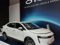 2018 ORA iQ - Технически характеристики, Разход на гориво, Размери