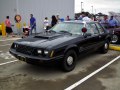 1979 Ford Mustang III - Photo 3