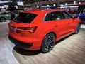 2023 Audi Q8 e-tron - Fotoğraf 42