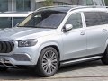 2020 Mercedes-Benz Maybach GLS (X167) - Photo 11