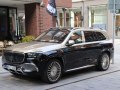 2020 Mercedes-Benz Maybach GLS (X167) - Photo 6